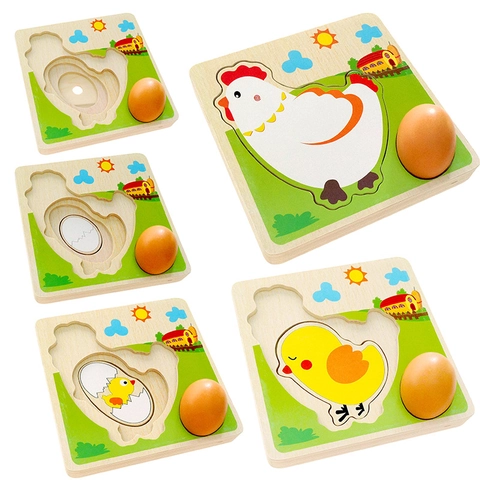 Houten Hen Levenscyclus Meerlagige Puzzel Educatief Vroeg Leren Groei Cognitie Puzzel Voor Kleuters Kinderen Wetenschap Speelgoed