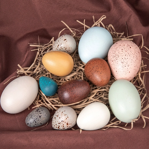 Simulation Wooden Bird Eggs Educational Toy Hand Painted Beechwood Spotted Eggs For Kids Home Decor Play House Natural Style