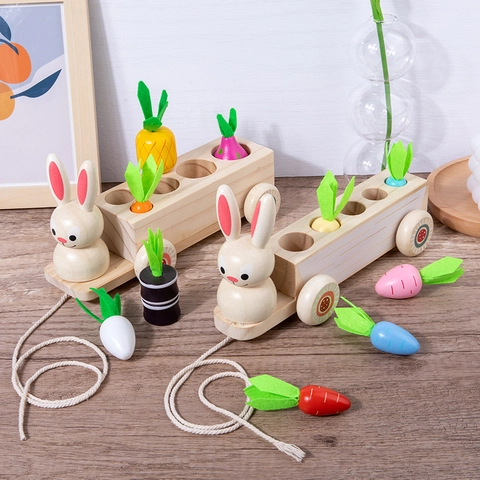 Montessori Wooden Educational Pull Toy Rabbit Panda Car Fruit Carrot Sorting Matching Game Toddler Fine Motor Skills Learning Toy
