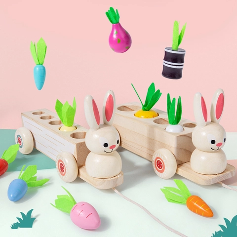 Montessori Wooden Educational Pull Toy Rabbit Panda Car Fruit Carrot Sorting Matching Game Toddler Fine Motor Skills Learning Toy