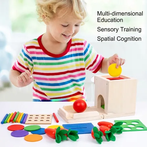 Montessori Wooden Educational Toy Multi Functional Coin Box Carrot Harvest Color Matching Toddlers Fine Motor Training
