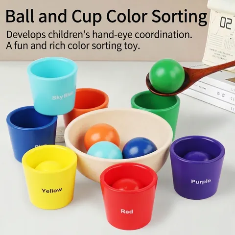 Montessori Legno Colore Smistamento Giocattolo per Bambini Educativo Arcobaleno Tazze e Palle Set Coordinazione Mano-Occhio Formazione Giocattolo Legno