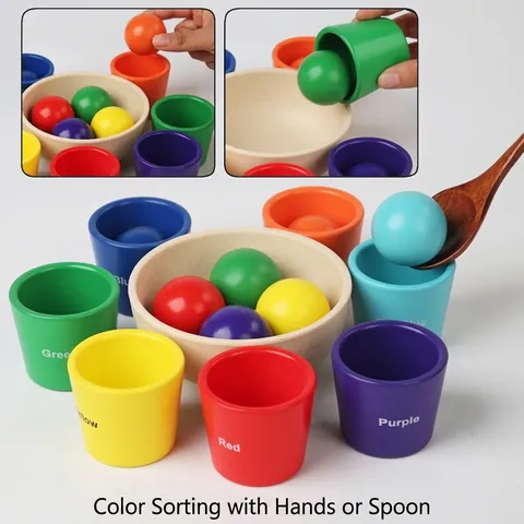 Montessori Legno Colore Smistamento Giocattolo per Bambini Educativo Arcobaleno Tazze e Palle Set Coordinazione Mano-Occhio Formazione Giocattolo Legno