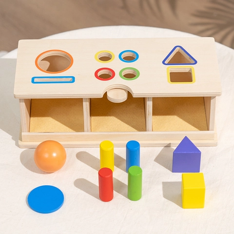 Montessori Giocattolo in Legno per Smistamento Forme Geometriche per Bambini Apprendimento Prescolare Sviluppo Intellettuale Coordinazione Occhio-Mano