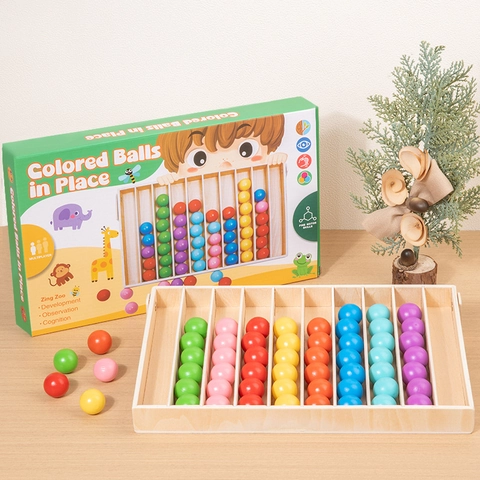 Gioco di Corrispondenza e Ordinamento dei Colori Montessori in Legno Giocattolo Educativo per Allenamento Motricità Fine Bambini