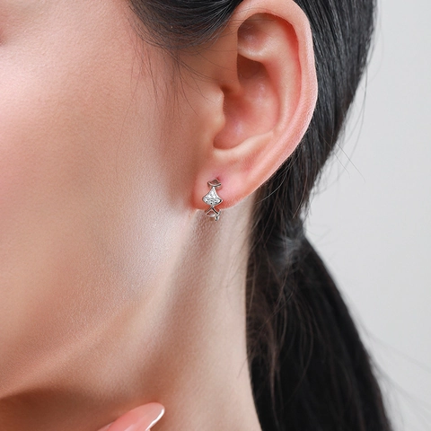S925 Sterlingsilber Fächerförmige Ohrringe Für Damen Elegant Mikro Eingelegt Klar Strass Zierlich Schmuck Geschenk