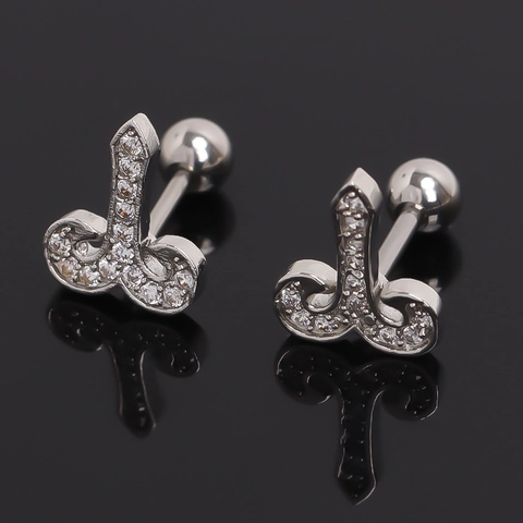 Orecchini a Bottone Zodiaco in Acciaio Inossidabile Con Intarsio di Strass Gioielli da Piercing Unisex Argento Regalo