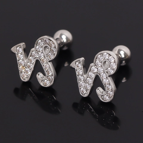 Steenbok Sterrenbeeld Roestvrij Stalen Oorknopjes Voor Mannen Vrouwen Gepersonaliseerde Strass Kraakbeen Nagel Zilverkleurige Sieraden