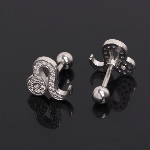Orecchini a Bottone Segno Zodiacale Leone in Acciaio Inossidabile Piercing con Strass Intarsiato Gioielli per Uomo Donna Accessori