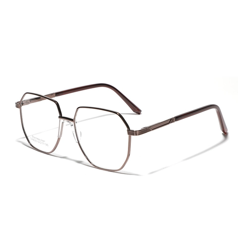 Fashion Polygon Large Frame Stainless Steel Optical Glasses Women Men Double Bridge Minimalist Clear Lens Eyewear Frame