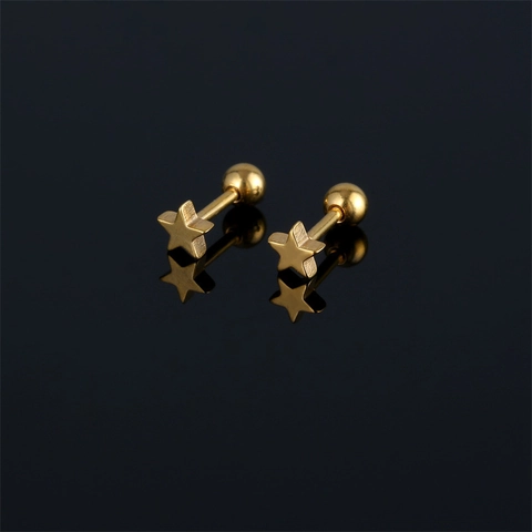 Orecchini a Bottone a Stella in Acciaio Inossidabile 316 Minimalisti Chiusura a Sfera Piccoli Gioielli Piercing Stella a Cinque Punte Unisex