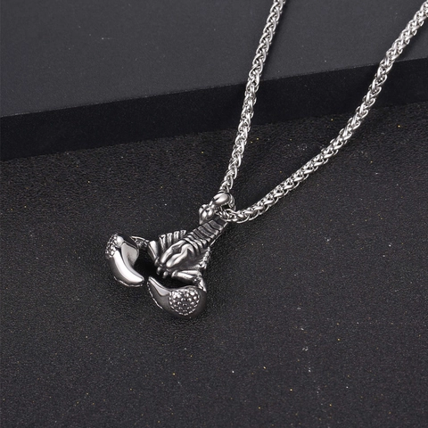 Collana con Ciondolo a Scorpione in Acciaio al Titanio Lucidato Vintage per Uomo Gioielli Gothic Punk Rock Retro Animale