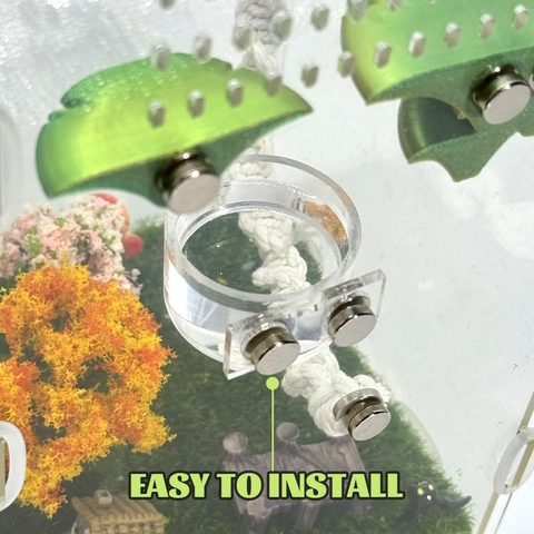 Magnetic Acrylic Reptile Feeding Dish Set Transparent Water Bowl With Tweezers For Jumping Spiders Small Reptiles Terrarium Tank Accessories