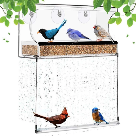 Klarer Acryl Fenster Vogelfutterspender Mit Starken Saugnäpfen Abnehmbare Futterschale Transparentes Vogelhaus Für Garten Beobachtung