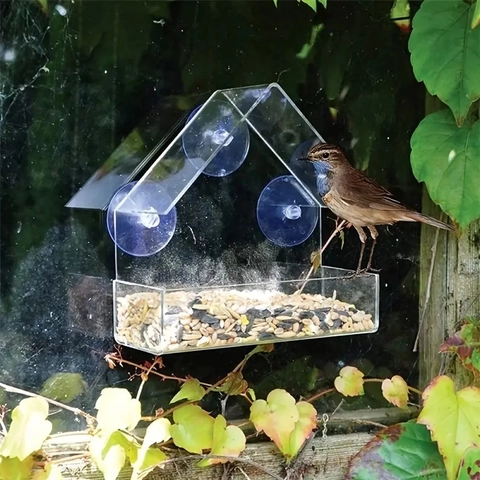 Mangeoire Pour Oiseaux De Fenêtre En Acrylique Transparent Forme De Maison Station De Nourrissage Avec Ventouses Puissantes