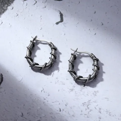 Vintage Stainless Steel Twisted Rope Hoop Earrings Retro Punk Gothic Silver Color Geometric Round Ear Buckle Jewelry