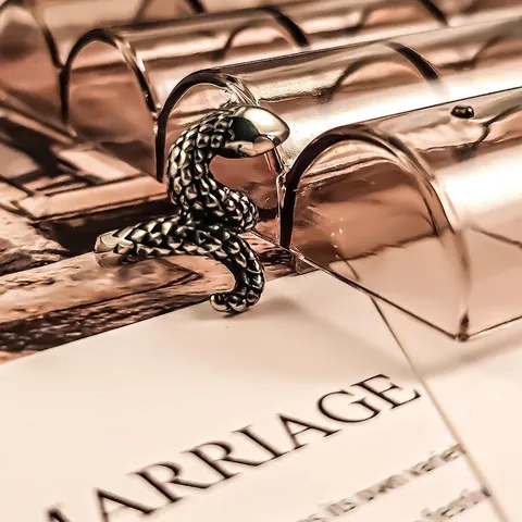 Punk Edelstahl Schlangenring Für Damen Herren Vintage Gothic Tierform Polierter Schmuck Strukturierte Schuppen Ring
