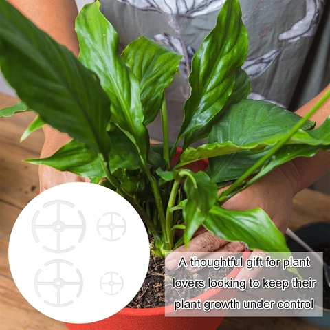 Supporti per Piante Alocasia in Acrilico Trasparente Pali per Piante Rampicanti Riutilizzabili per la Casa e il Giardino