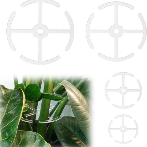 Supporti per Piante Alocasia in Acrilico Trasparente Pali per Piante Rampicanti Riutilizzabili per la Casa e il Giardino