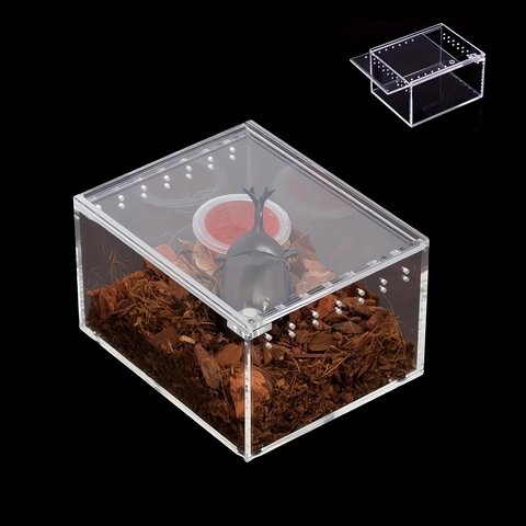 Clear Acrylic Insect Breeding Box Reptile Feeding Tank Habitat For Spiders Beetles Small Animal Terrarium With Ventilation