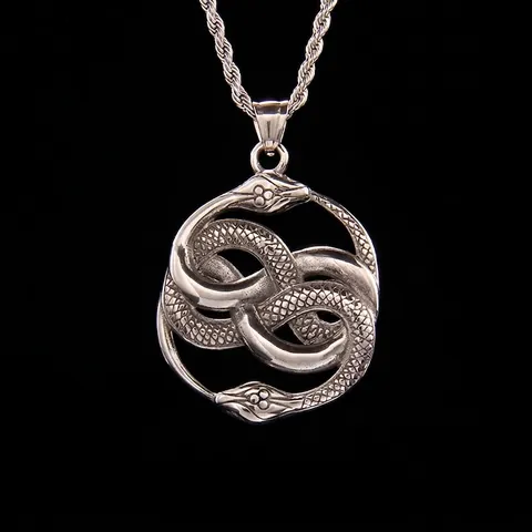 Collana con Pendente in Acciaio Inossidabile a Doppia Serpente Intrecciata Gotica Gioielli Uomo Donna Simbolo Infinito Retro