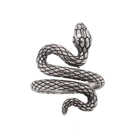 Vintage Titanium Steel Snake Ring For Men Punk Gothic Spiral Wrap Serpent Finger Ring Retro Silver Men Jewelry Gift