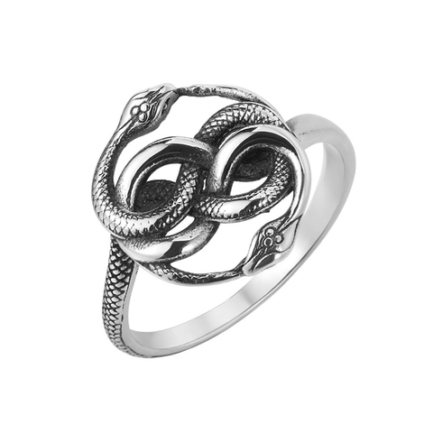 Vintage Stainless Steel Double Snake Ring For Men Women Intertwined Serpent Infinity Gothic Punk Distressed Finger Jewelry