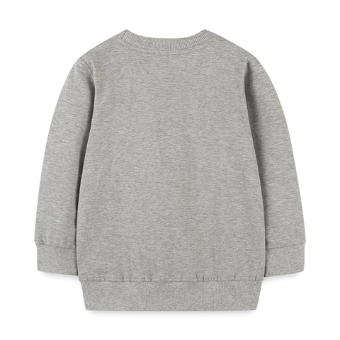 Felpa in Cotone Casual da Bambina Con Ricamo di Pony e Fiori Girocollo a Maniche Lunghe Pullover Grigio Top Autunnale
