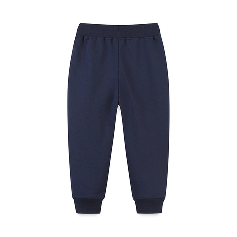 Kleinkind Jungen Western Stil Baumwolle Cartoon Dinosaurier Bestickt Sporthose Lässig Weich Gekämmte Baumwolle Jogginghose
