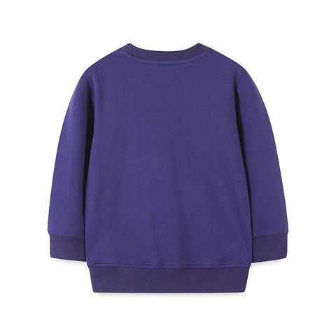 Sweat-shirt en Coton pour Garçons Hibou de Dessin Animé Brodé Manches Longues Col Rond Pull Top pour Enfants Tout-petit Automne Décontracté
