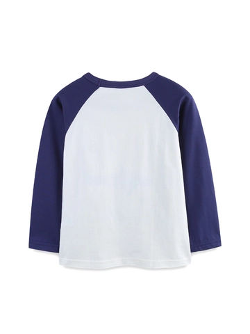 Αγόρια Καρχαρίας Infographic Raglan Μακρυμάνικο T-Shirt Βαμβακερό Casual Τυπωτό Στρογγυλή Λαιμόκοψη Πουλόβερ Top