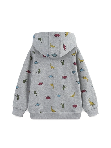 Kids Boys Hooded Zip Up Jacket Dinosaur Printed Cotton Blend Sweatshirt Long Sleeve Autumn Casual Playful Outerwear Clothes