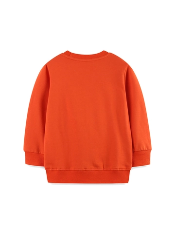 Jungen Langarm Sweatshirt Baumwolle Cartoon Dinosaurier Applikation Rundhals Pullover Kinder Lässig Sportlich Herbst Orange Top