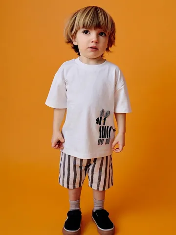 Boys Summer Short Sleeve Clothing Set Cotton Cartoon Zebra Printed T-Shirt And Striped Shorts Casual Two-Piece Kids Outfit