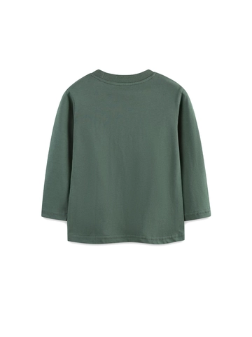 Boys Cotton Long Sleeve T-Shirt Casual Skateboard Dinosaur Print Round Neck Pullover Top For Toddler Kids