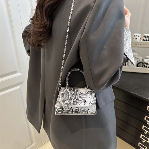 Mini Borsa a Tracolla Donna Pelle PU Motivo Serpente Fiocco Argento Catena Metallo Urban Casual Piccola Borsa Quadrata