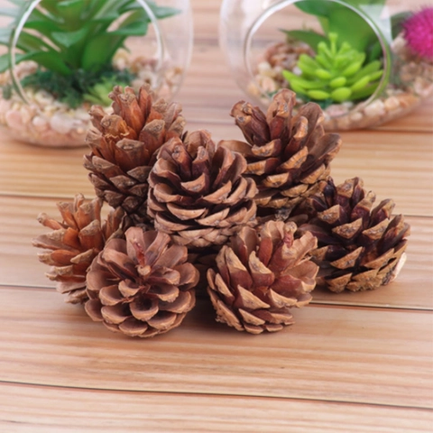 Pigne Naturali Essiccate Decorazione Natalizia Rustica Per Artigianato Fai-da-te Matrimonio Festa Casa Ornamento Albero di Natale Da Appendere