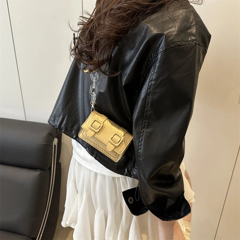 Mini Borsa a Tracolla Quadrata da Donna Trendy Con Texture in Fibra di Carbonio Doppia Fibbia Catena in Acrilico Trasparente Borsa a Spalla in Pelle PU per Moda di Strada