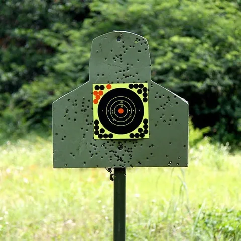 Cibles de Tir Autocollantes 8 Pouces Papier Vert Fluorescent Étiquettes de Cible pour Fusil Pistolet Pratique du Tir à l'Arc Haute Visibilité