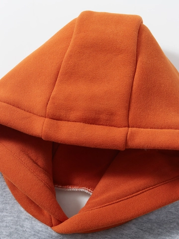 Little Maven Enfants Sweat à Capuche Doublé en Polaire Manches Longues Renard Appliqué Bloc de Couleur Chaud pour Garçons Filles