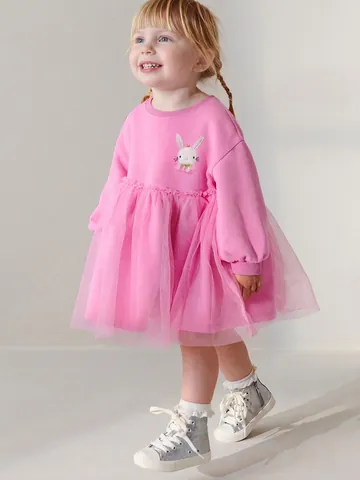Meisjes Roze Lange Mouwen Jurk Konijnenborduurwerk Katoen Mesh Splicing Peuter Prinses Tutu Jurk Voor Herfst Feest Zoete Kinderkleding