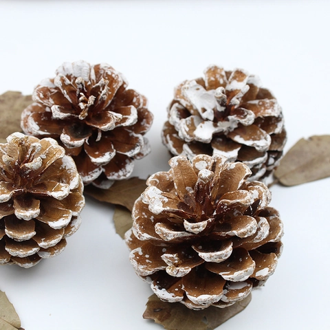 Décoration de Noël en Pomme de Pin en Bois Naturel Avec Bord de Neige Blanche Ornements de Maison d'Hiver Pendentif pour Noël