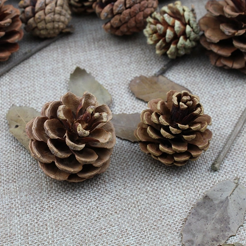 Pigne Naturali Decorazioni per Albero di Natale Rustico in Legno Pigna Fai da Te Artigianato Ornamento per Matrimonio Casa Festa