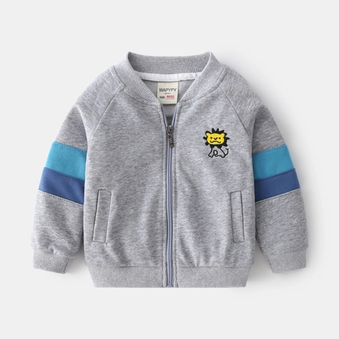Kinderen Jongens Rits Sweatshirt Jas Cartoon Leeuw Patch Kleurblok Raglanmouw Baseballkraag Katoenmix Herfst Bovenkleding