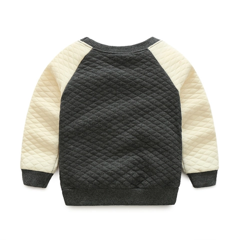 Jongens Verdikte Katoenmix Gewatteerd Sweatshirt Toekan Borduursel Contrast Raglanmouwen Pullover Casual Herfst Winter Top