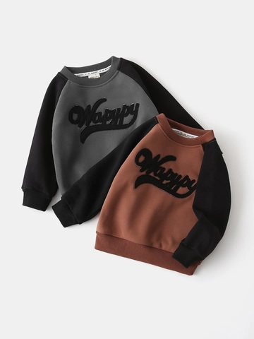 Jongens Fleece Gevoerde Sweatshirt Koreaanse Stijl Contrast Raglanmouw Letter Borduurwerk Pullover Herfst Winter Warm Katoenmix Kinder Top