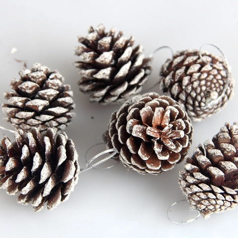 Pommes de Pin de Noël Naturelles Ornements Suspendus Effet Neige pour Décoration Arbre de Noël Hiver Maison