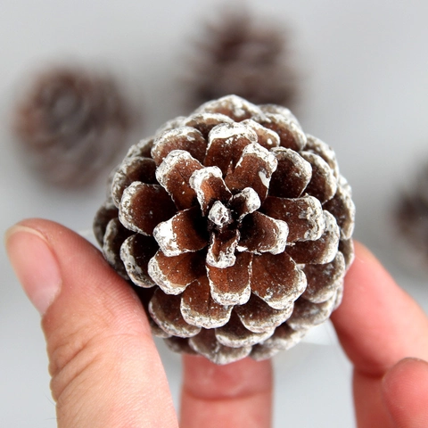 Pommes de Pin de Noël Naturelles Ornements Suspendus Effet Neige pour Décoration Arbre de Noël Hiver Maison