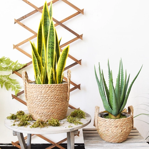 Cesto per Piante in Canapa Intrecciato a Mano Con Rivestimento Impermeabile Doppi Manici Vaso Decorativo Stile Nordico