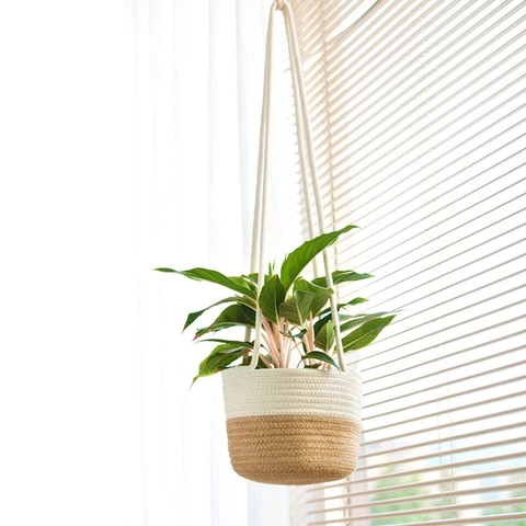 Cesto Sospeso per Piante Tessuto a Mano Cesto in Corda di Cotone e Juta per Interni Decorazione Parete Cesto Contenitore per Vasi